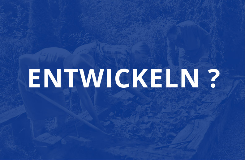 Entwickeln