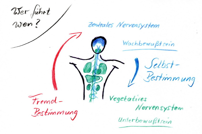 Steuerung-Nervensystem
