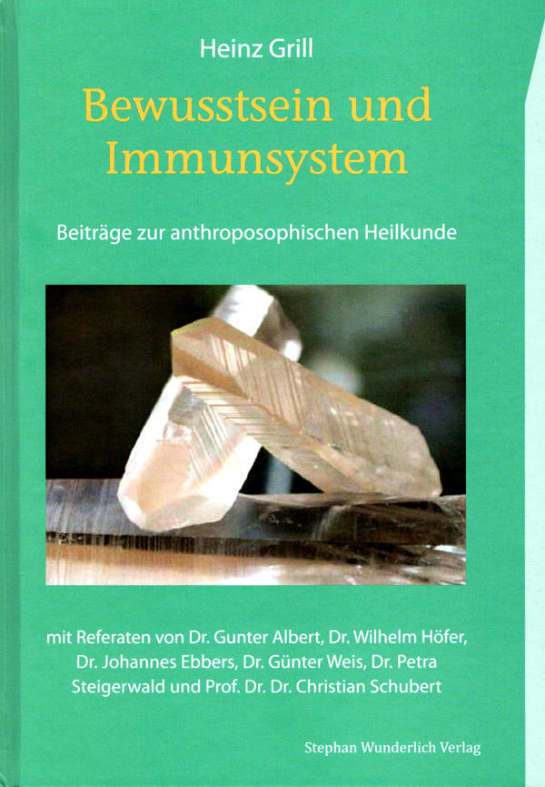 immunsystem-1 Bewusstsein und Immunsystem